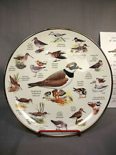 Porcelain plate birds for sale  BRISTOL