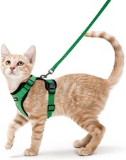 Pettorina antifuga gatto usato  Anzio