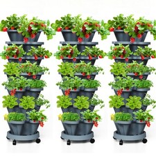 Tiered strawberry vertical for sale  Ashford