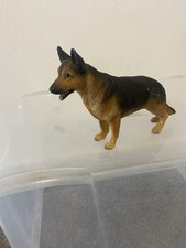 German shepherd dog for sale  BANGOR
