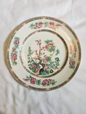 Indian tree dinner for sale  INVERNESS