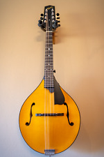 Northfield model mandolin for sale  Hartsdale