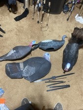 foam decoys for sale foam decoys for sale Mount Juliet
