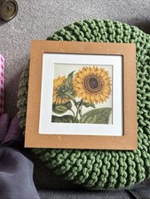 Vintage sunflower framed for sale  LEEDS