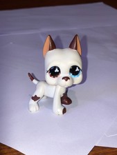 petshop chien dog d'occasion  Pouilly-sur-Loire