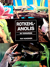 Reptilien rotkehl anolis gebraucht kaufen  Deutschland