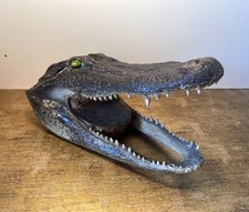 Alligator head taxidermy for sale  Long Beach