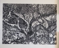 Original ink drawing for sale  WELLINGBOROUGH
