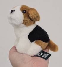 Living nature beagle for sale  HUDDERSFIELD