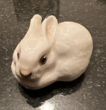 Russian china rabbit for sale  ASHFORD