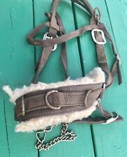 Lunging cavesson brown for sale  Indiana