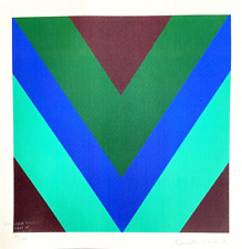 Kenneth noland litografia usato  Roma