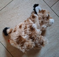 Kuscheltier luchs stofftier gebraucht kaufen  Bärenstein, Königswalde