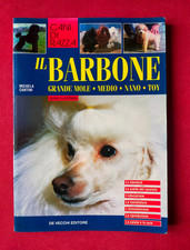 Cani razza barbone usato  Scandicci