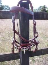 Kappzaum leder cob gebraucht kaufen  Sassenberg
