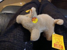 Steiff piggy for sale  LEIGHTON BUZZARD