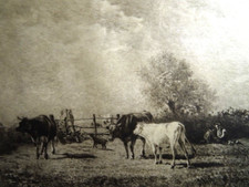 Lucien gautier eau d'occasion  Périgueux