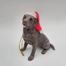 Labrador retriever dog for sale  Valencia