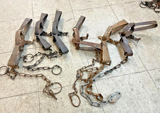 Victor traps raccoon for sale  Lennox