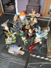 Large collection bird for sale  KIDWELLY
