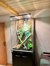 Terrarium 70x50x120 gebraucht kaufen  Ruhmannsfelden