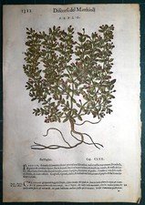 Stampa antica mattioli usato Stampa antica mattioli usato  Lecco