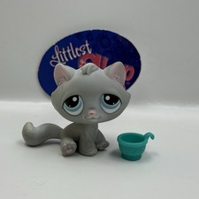 Kitten cat 177 for sale  Alexandria