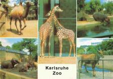 74007165 zoo gardin gebraucht kaufen  Deutschland