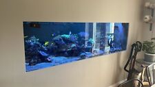 Fish tank used for sale  RADSTOCK