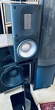 Raidho acoustics x1t usato  Spedire a Italy