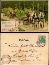 Glückwunsch pfingsten pferdef gebraucht kaufen  Ortrand