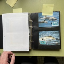 Wwf sammlung wilde gebraucht kaufen  Hamburg