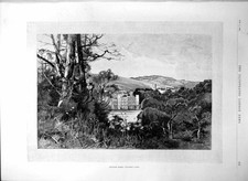 Old english homes for sale  UK