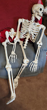 5 ft skeleton for sale 5 ft skeleton for sale Houston
