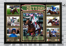 Frankie dettori horse for sale  RHYL
