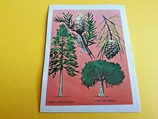 Figurina sticker flash usato  Soliera