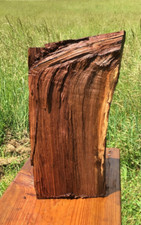 Black walnut blank for sale  Head Waters