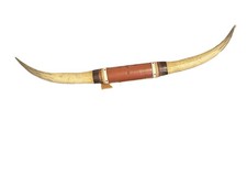 Longhorn mount inches for sale  Chicago