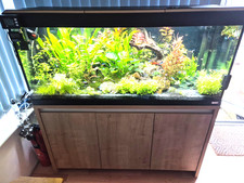 Fluval roma 240 for sale  PRESTON