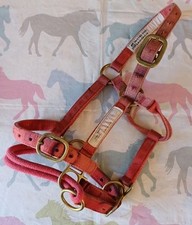 dually headcollar for sale dually headcollar for sale SWADLINCOTE