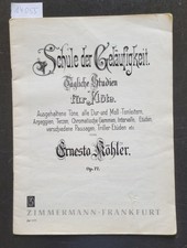 Schule geläufigkeit flöte gebraucht kaufen  Aachen