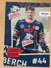 Josef eham nürnberg gebraucht kaufen  Perkam