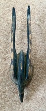 African nigerian antelope for sale  BASINGSTOKE