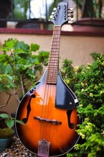 Antoria string mandolin for sale  LISKEARD