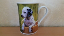Dalmatiner kaffeebecher dalmat gebraucht kaufen  Fockbek