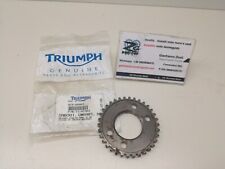T1141301 originale triumph usato  Conversano