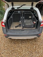Athag guardsman dog for sale  NORTHAMPTON