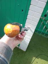 BARA IRLANDESA BLACKTHORN 34 POLEGADAS DE COMPRIMENTO 450 GRMS DE PESO SUPER CABO DE ROOTBALL comprar usado  Enviando para Brazil