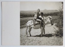 Jeune femme cheval d'occasion Jeune femme cheval d'occasion  Rouen-