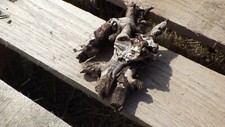 Natural driftwood aquarium d'occasion  Expédié en Belgium